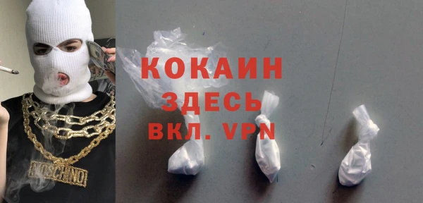 шишки Баксан