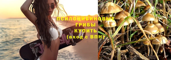 шишки Баксан
