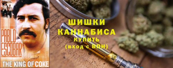шишки Баксан