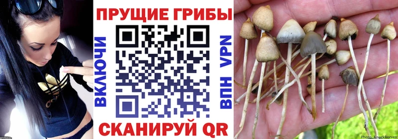 Псилоцибиновые грибы MAGIC MUSHROOMS  Белорецк 